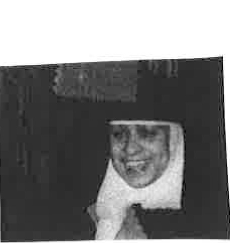 H.Amparo-Campos