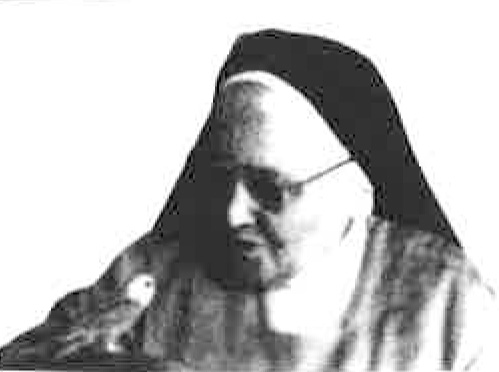 H.Josefine Hawley